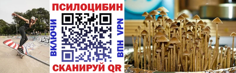 купить наркотики цена  Алагир  Псилоцибиновые грибы ЛСД 